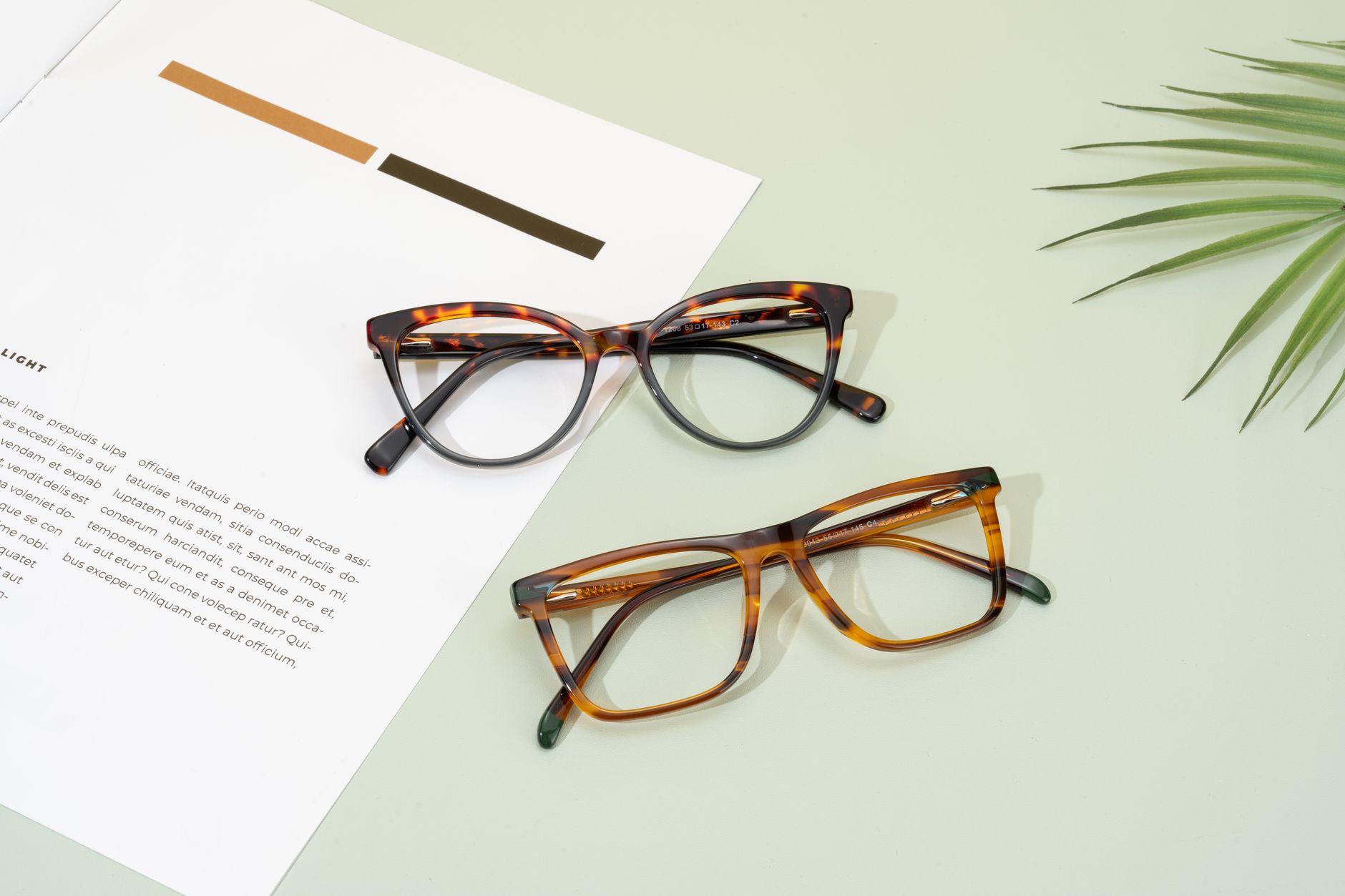 Laurel — Cat-eye frames in Tortoise acetate